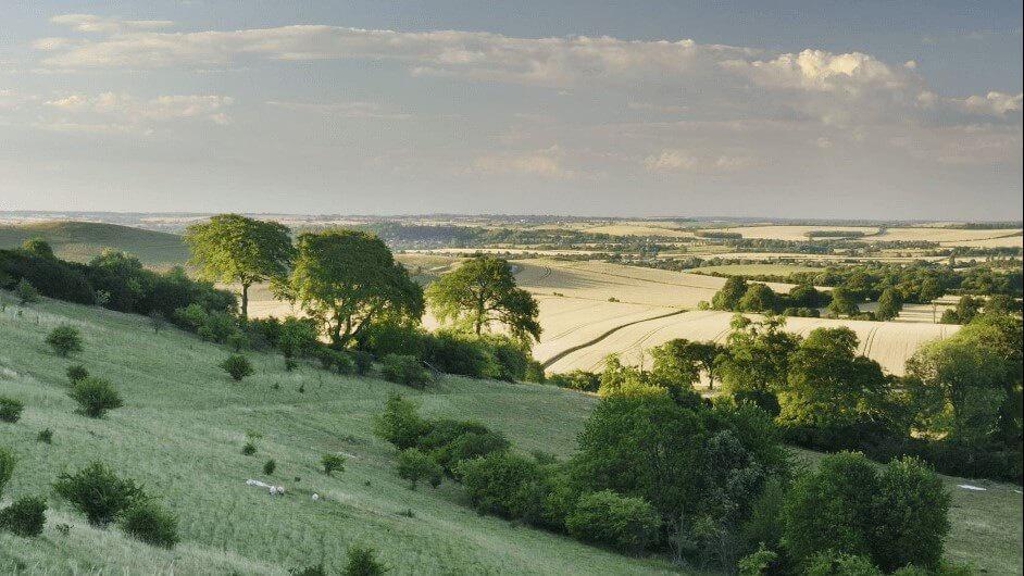 The Chiltern Hills